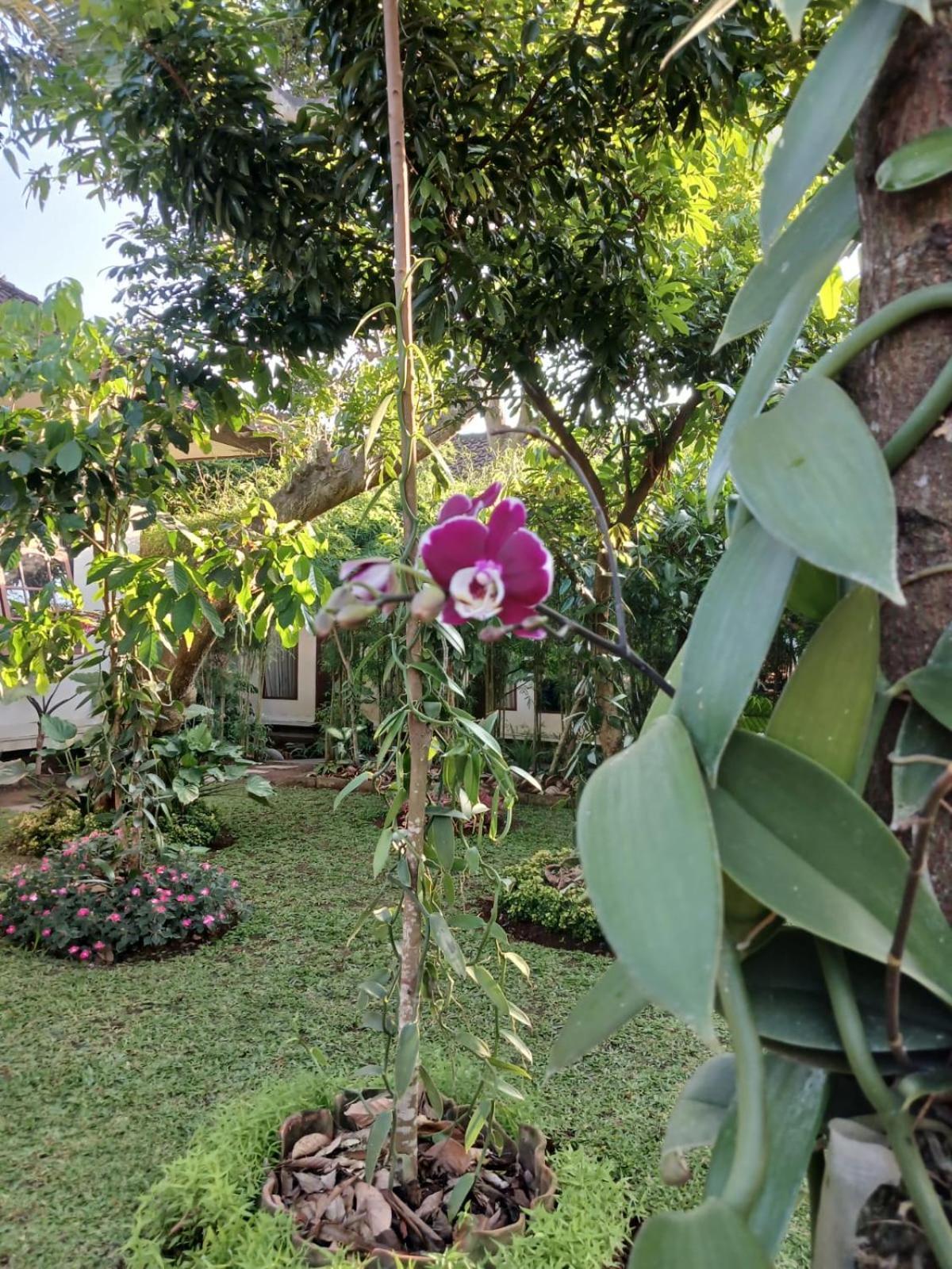 Appartement Puri Amartha à Ubud Extérieur photo