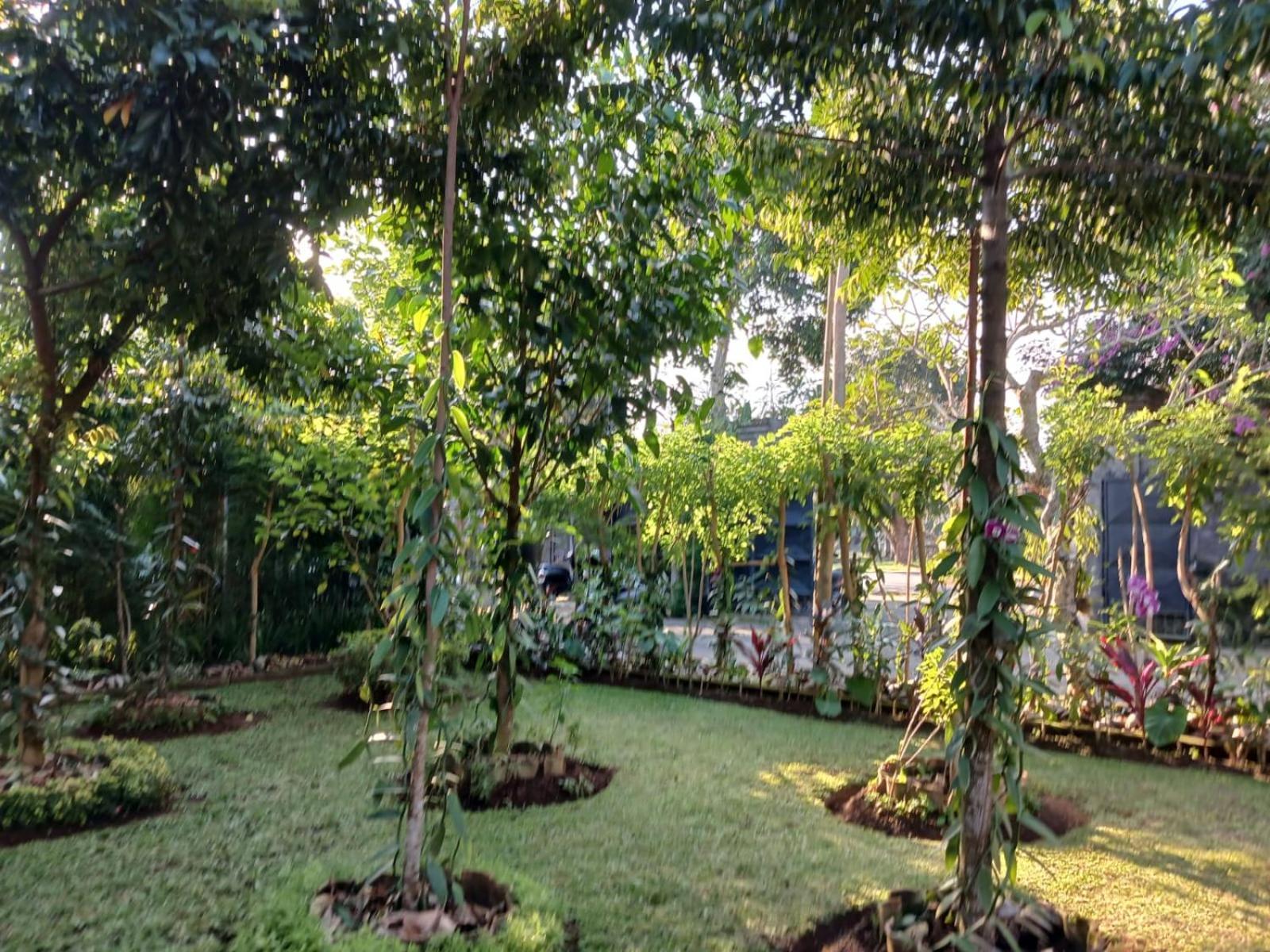 Appartement Puri Amartha à Ubud Extérieur photo
